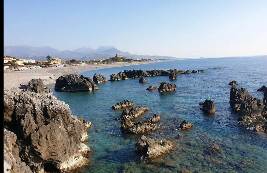 Incentroscalea B&B-1